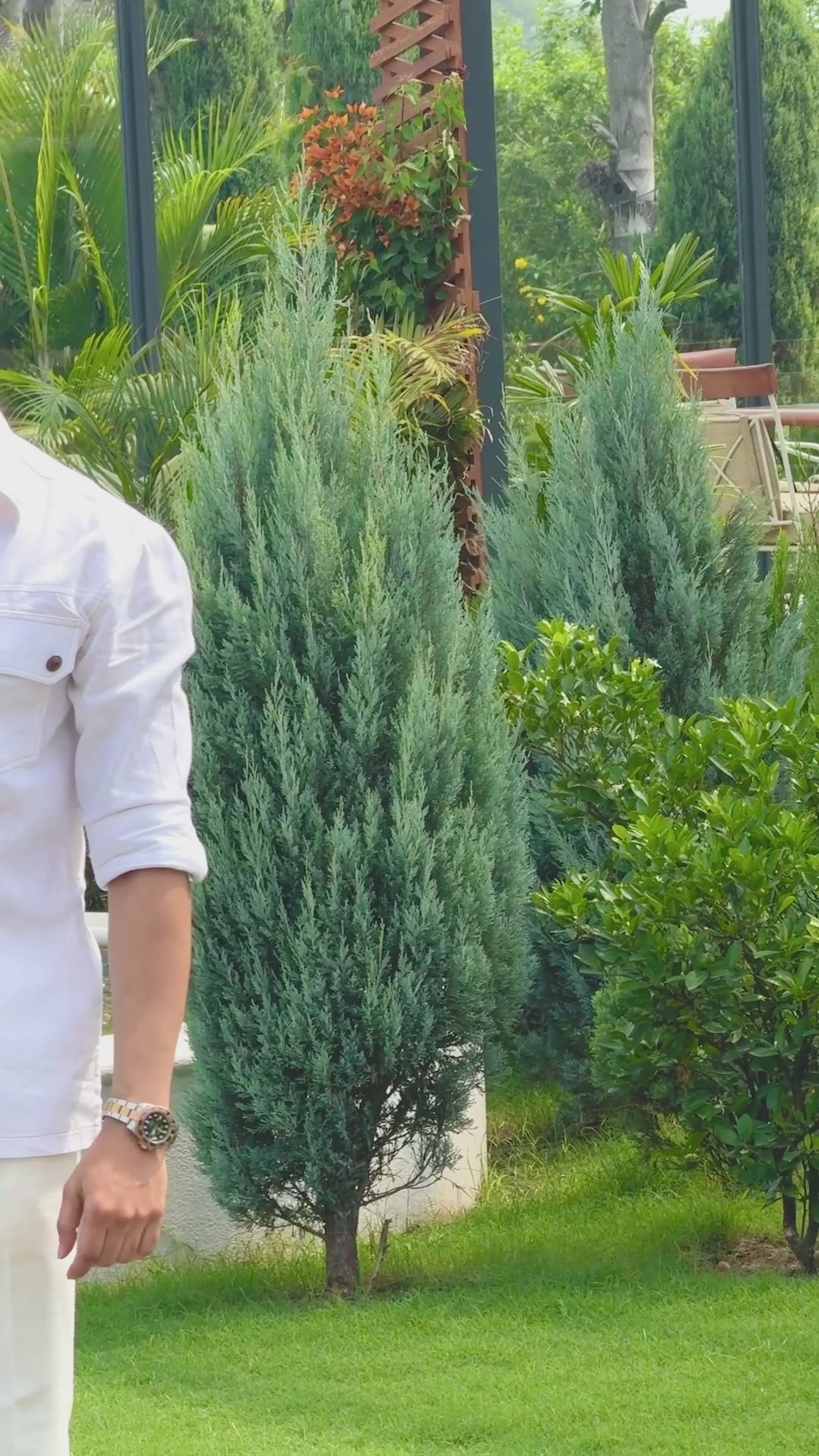 The Summer Sundowner Shirt